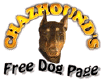 Chazhound Dog Network